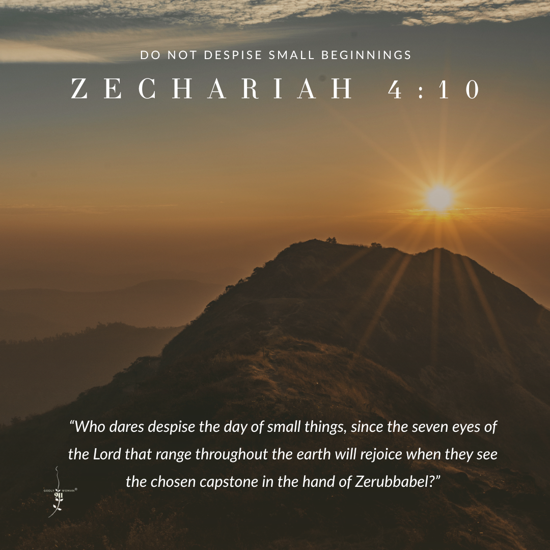 Do Not Despise Small Beginnings